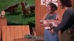 Shark Tank S17e03 720P Web H264-Edith