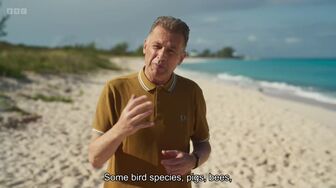 Evolution 2026 S01E04 The Dolphin 720pENGLISH SUBT